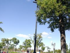 -上海长兴岛郊野公园