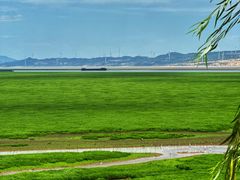 -鄱阳湖国家湿地公园