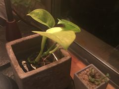 -花迹(富春江东街店)