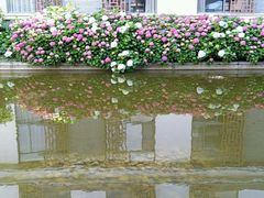 -太湖湾开元名庭大酒店