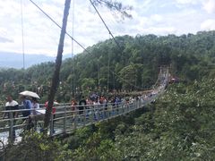 -九龙江国家森林公园