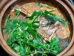 -九道菜有鸡鱼头(石鼓路店)