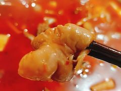 肥肠-蛙一刀·麻椒鱼火锅(金仙桥店)