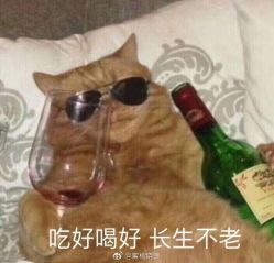 -新蝶变皮肤管理中心