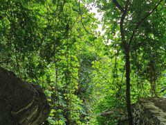 -十渡东湖港风景区