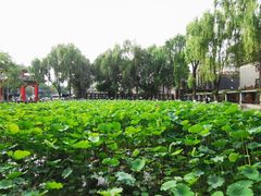 -四川大学(望江校区)