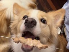 -顺德·古草食记(长寿店)