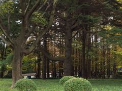 -八大关景区