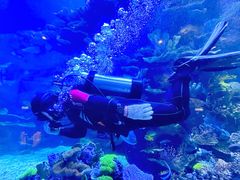 -欢乐海岸海洋奇梦馆