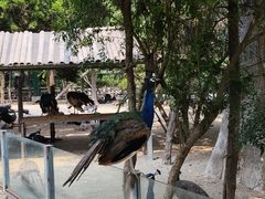 -郑州市动物园