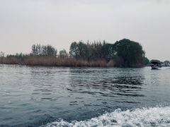 -白洋淀景区