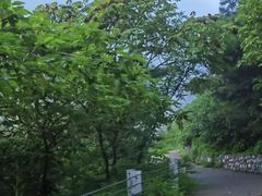 -香山公园