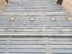 -帽儿山国家森林公园