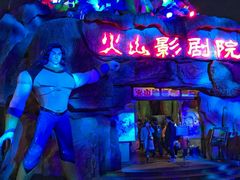 夜晚-锦江乐园舞狸花花游园会(夜场专享)