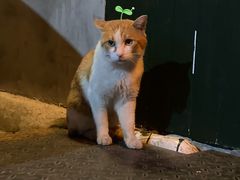 -SeekSeeking咖啡专门店(堰塘街店)