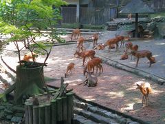 -杭州动物园