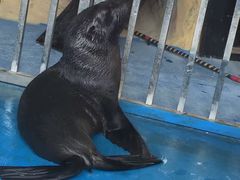 -泉州海丝野生动物世界