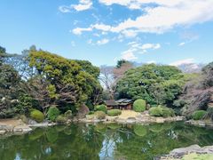-东京国立博物馆