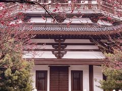 -洋湖国家湿地公园