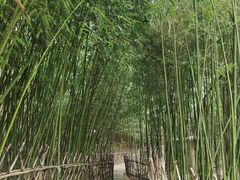 -竹子庵公园