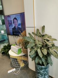-春田皮肤管理中心品牌旗舰店