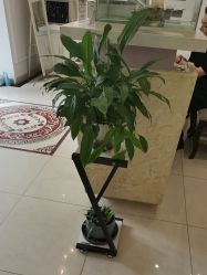 -香秀空间科技抗衰·美容中心