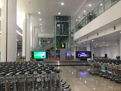 -河内内排国际机场