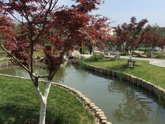-西海子公园