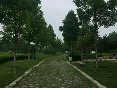-海草馆自助餐厅(悦海店)
