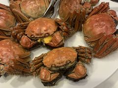 -宝燕海鲜(好爱店)
