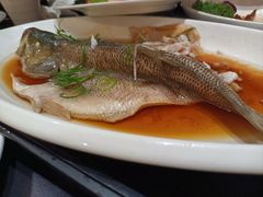 -锦园餐厅(九龙湖开元度假村店)