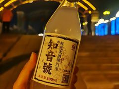 -武汉知音号