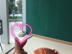 -飞行喵MR PILOT|猫舍·猫咖(静安大融城店)