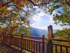-五女峰国家森林公园