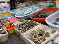 -芦潮港集贸市场