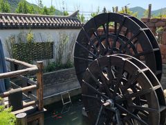 -慢丽江·云南野生菌土鸡锅(西山店)