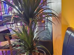 -湘西乌龙山铁板烧(双桥店)