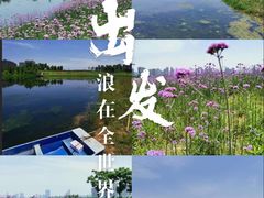 -洋湖国家湿地公园
