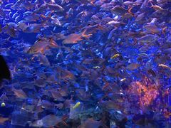 -成都浩海立方海洋公园