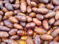 -和源祥·日照菜扛把子(万平口一店)