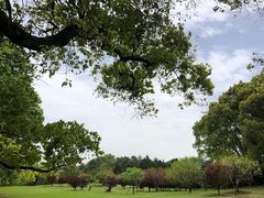 -上海共青森林公园