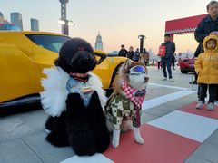 -上海港国际客运中心