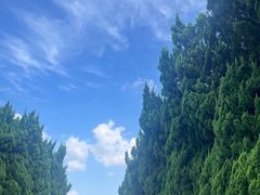 -上海市龙华烈士陵园