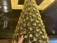 -长沙运达喜来登酒店