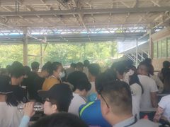 -天目湖松岭竹海漂流