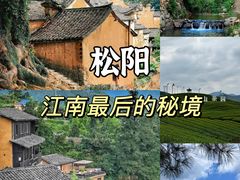 -杨家堂村