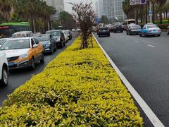-黄金海岸环岛路
