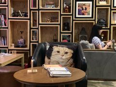 大堂-咖法森林·咖啡  酒吧(天河店)