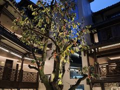 -华冠悠岚·庭院餐厅(青城后山店)