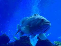 -成都浩海立方海洋公园